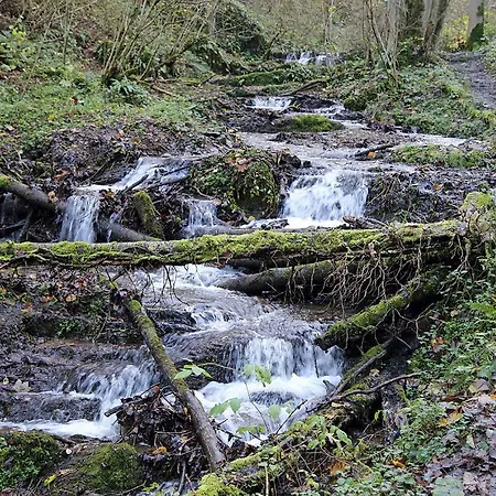 ホリデーパーク Le Petit - Waulsort