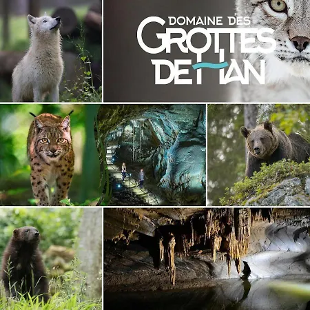 ホリデーパーク Le Petit - Waulsort