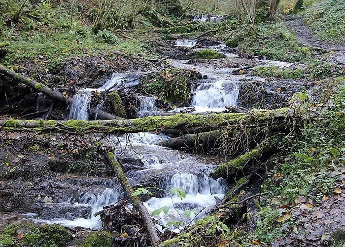 Village de vacances Le Petit - Waulsort